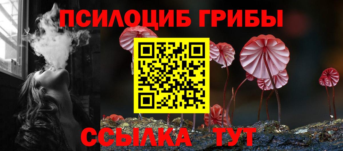 Заводоуковск  Галлюциногенные грибы мухоморы  Галлюциногенные грибы прущие грибы  Вход с VPN 